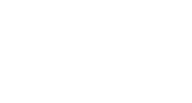 CSM Consulting